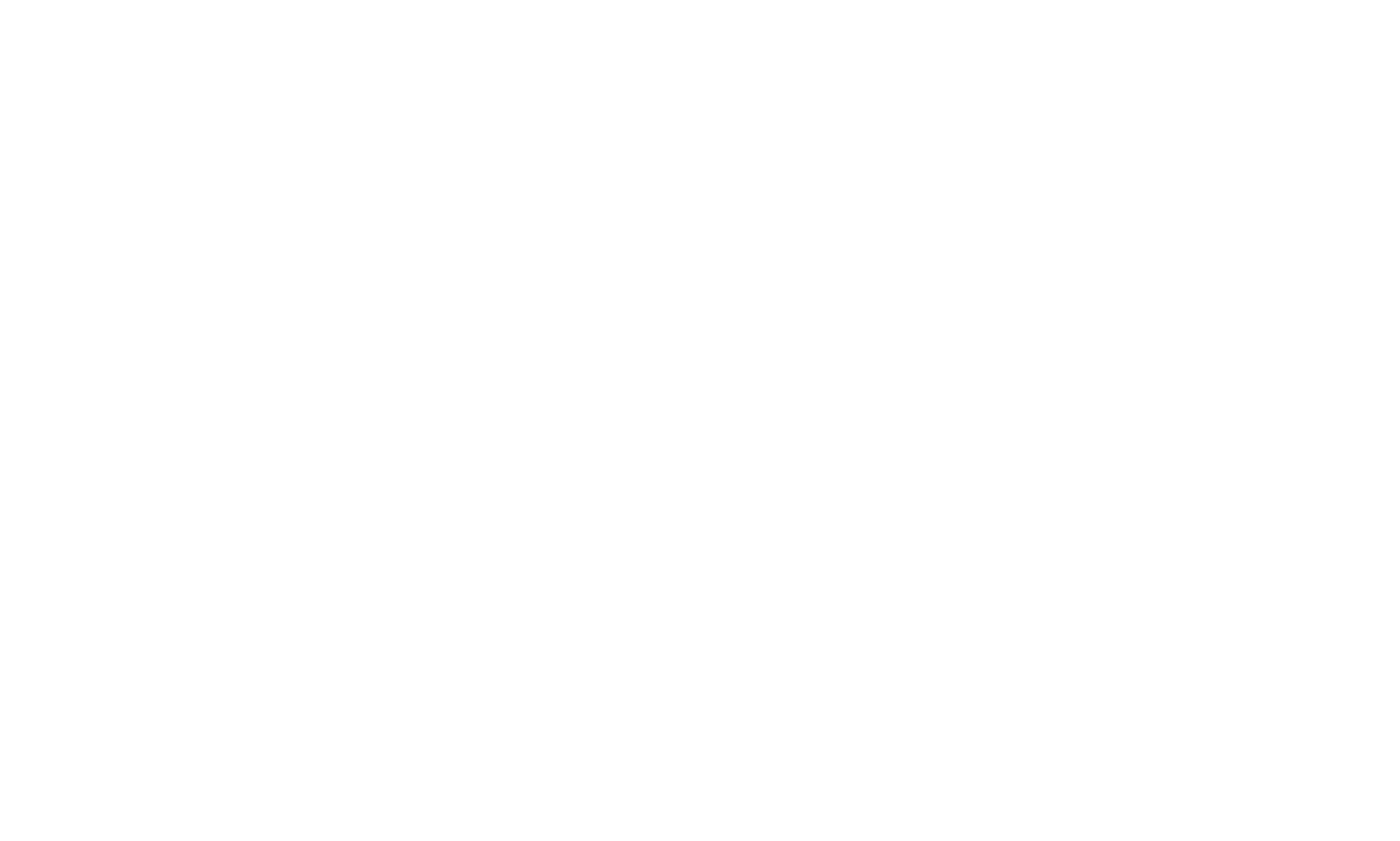 areva_logo-weiß